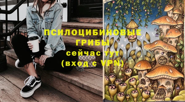 стафф Абинск