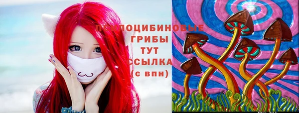 дмт Аксай