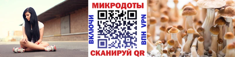 Галлюциногенные грибы прущие грибы что такое нарко площадка наркотические препараты Энем